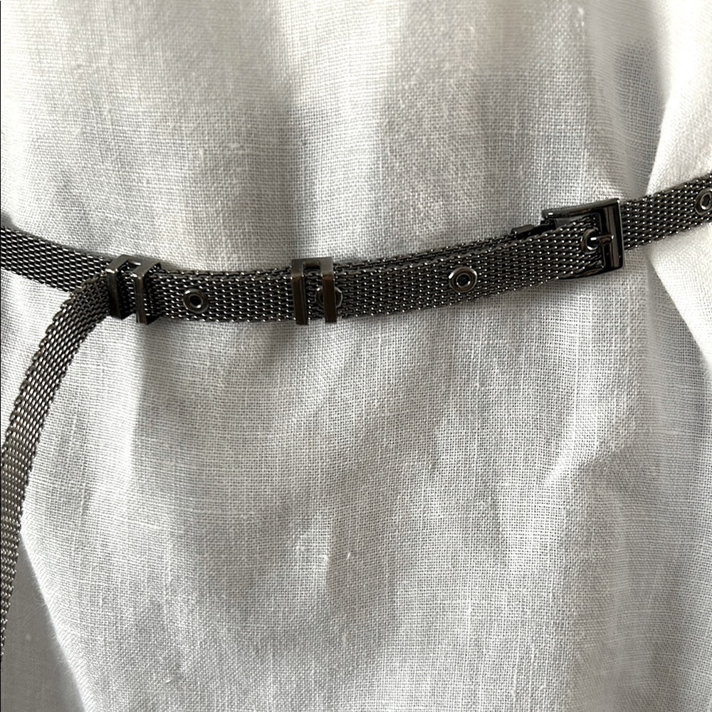 Helmut Lang Inspired Metal Chain Skinny Belt - Picture 3 of 12
